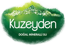 Kuzeyden