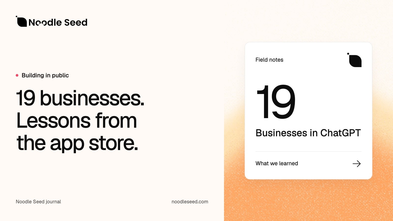 Noodle Seed editorial illustration: 19 businesses. Lessons from the app store.