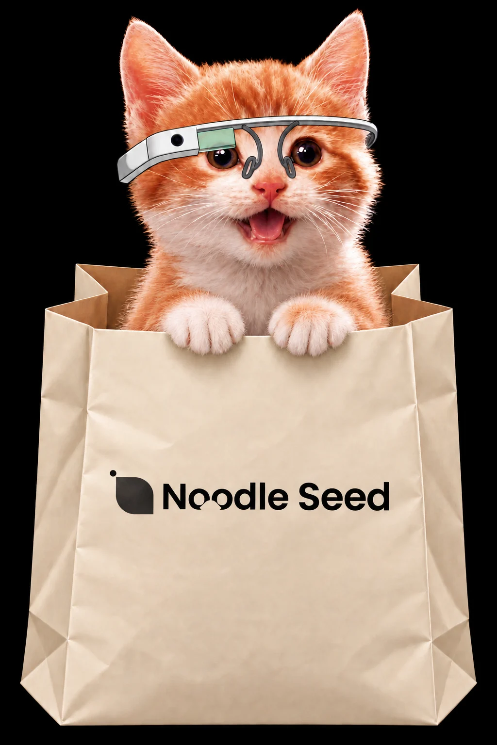 Noodle Seed cat holding a branded shopping bag